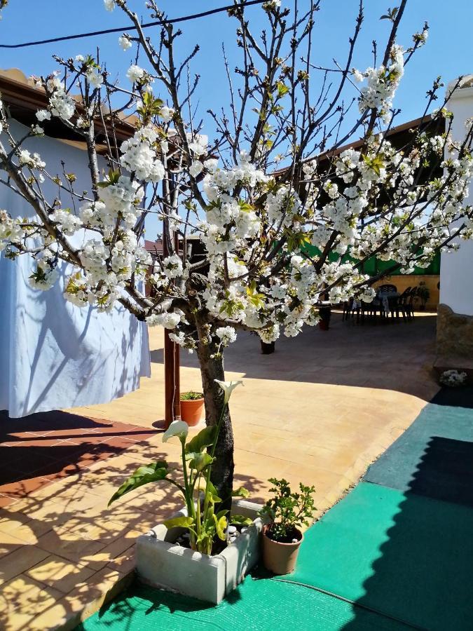 Pensjonat Conjunto Rural Andrea Moriles Zewnętrze zdjęcie